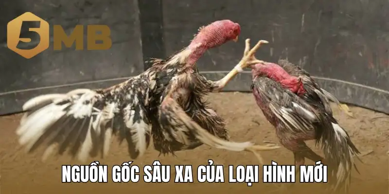 Nguồn gốc sâu xa của loại hình mới